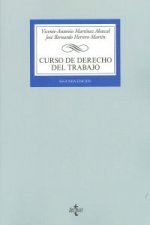 Curso de derecho del trabajo
