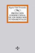 Protección jurisdiccional de los Derechos Fundamentales