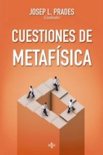 Cuestiones de metafísica : serie de filosofía de la Sociedad Espa?ola de Filosofía Analítica