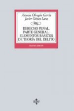 Derecho penal : parte general: elementos básicos de teoría del delito