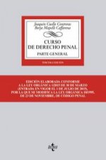 Curso de derecho penal : parte general