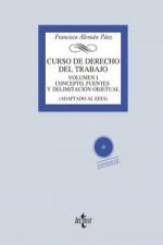 Curso de Derecho del Trabajo Vol. 1: Concepto, fuentes y delimitación objetual