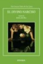 El divino Narciso