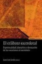 El celibato sacerdotal : espiritualidad, disciplina y formación de las vocaciones al sacerdocio