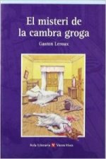 El misteri de la Cambra Groga, auxiliar BUP