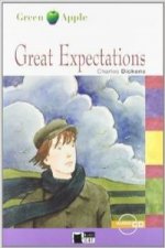 Great expectations, ESO. Auxiliar