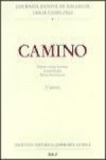 Camino : edición crítico-histórica