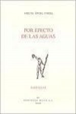 Por efecto de las aguas
