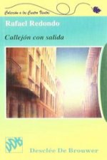 Callejón con salida : perspectivas de nuestra juventud actual