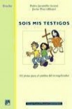 Sois mis testigos : cien pistas para el camino del evangelizador