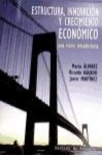 Estructura, innovación y crecimiento económico : una visión introductoria