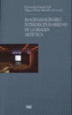Imagen-imaginario : interdisciplinariedad de la imagen artística