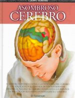 Asombroso cerebro