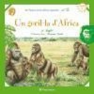 UN GORIL.LA D'AFRICA