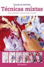 Técnicas mixtas
