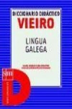 Diccionario Vieiro gallego 2002