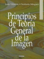 Principios de teoría general de la imagen