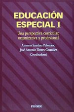 Una perspectiva curricular, organizativa y profesional