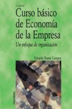 Curso básico de economía de la empresa : un enfoque de organización