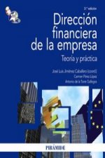 Dirección financiera de la empresa : teoría y práctica