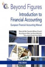 Beyond figures : introduction to financial accounting : european financial accounting manual