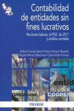 Contabilidad de entidades sin fines lucrativos : nociones básicas, el PGC de 2011 y análisis contable