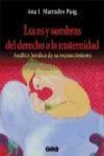 Luces y sombras del derecho a la maternidad : análisis jurídico de su reconocimiento