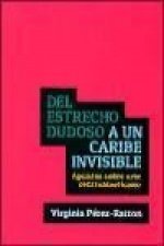 Del estrecho dudoso a un Caribe invisible : apuntes sobre arte centroamericano