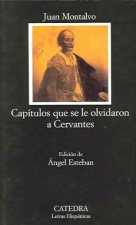 Capítulos que se le olvidaron a Cervantes