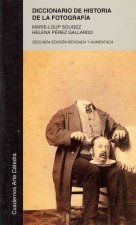 Diccionario de historia de la fotografía