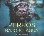 Perros bajo el agua