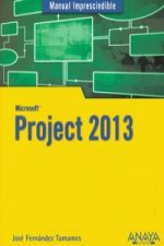 Project 2013