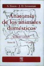 Anatomía de los animales domésticos. Tomo II