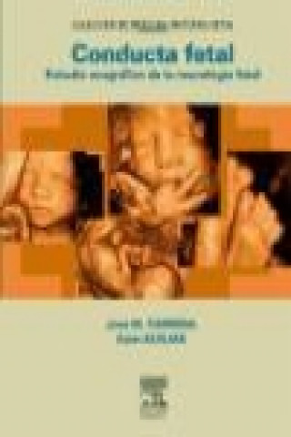 Conducta fetal : estudio ecográfico de la neurología fetal
