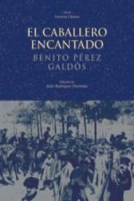 El caballero encantado : cuento real-- inverosímil