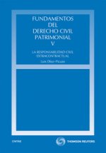 Fundamentos del derecho civil patrimonial V : la responsabilidad civil extracontractual