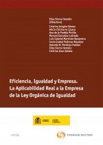 Eficiencia, igualdad y empresa : la aplicabilidad real a la empresa de la Ley orgánica de igualdad