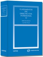 Fundamentos del derecho civil patrimonial VI : derechos reales