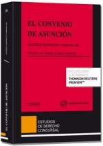El convenio de asunción : Papel y Proview