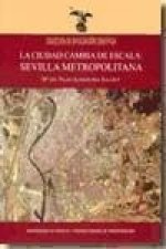 La ciudad cambia de escala : Sevilla metropolitana