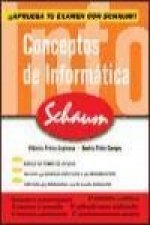 Conceptos de informática : aprueba tu examen con schaum
