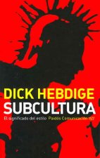 Subcultura : el significado del estilo