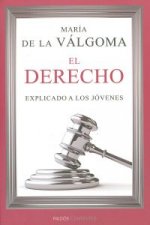 El derecho explicado a los jóvenes