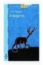 A mitja nit