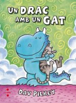 Un drac i un gat