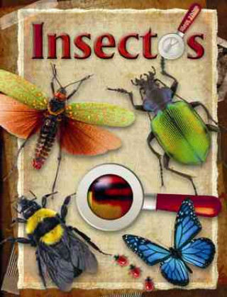 Insectos