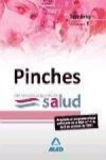 Pinches del Servicio Aragonés de Salud. Temario. Volumen I