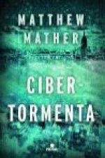 Cibertormenta