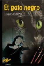 El gato negro