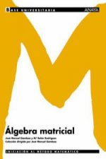 Algebra matricial, Bachillerato